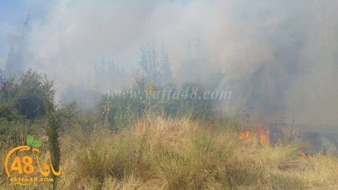 fire lud a7rash (2).jpg